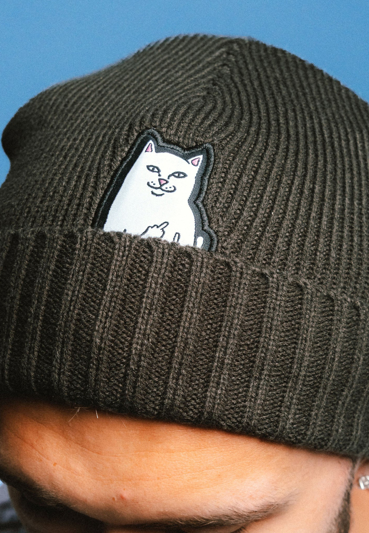 RIPNDIP Lord Nermal Beanie Dark Forest