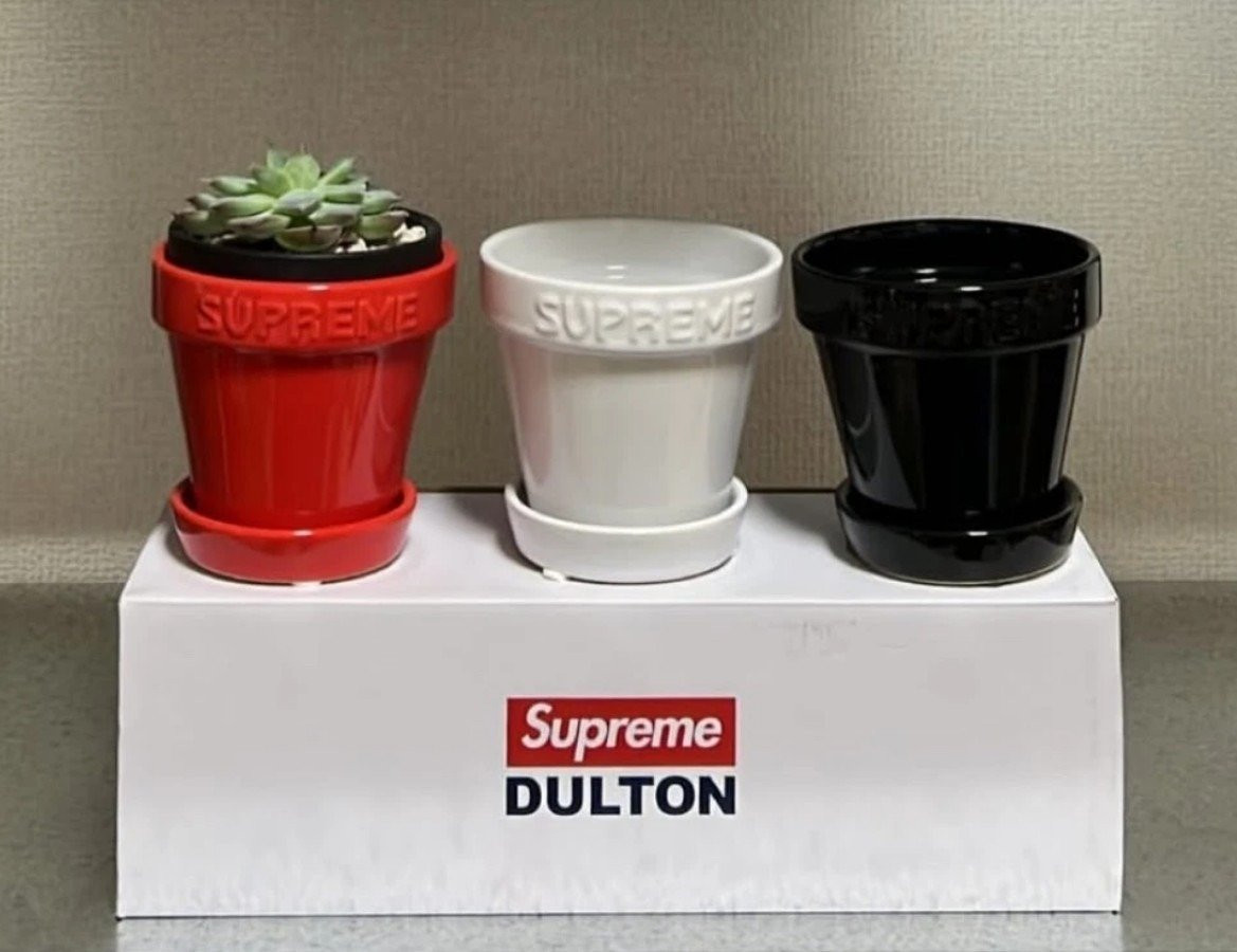 Supreme® x Dulton Ceramic Mini Planters