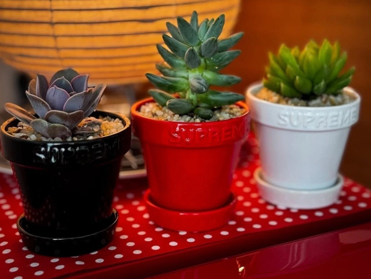 Supreme® x Dulton Ceramic Mini Planters