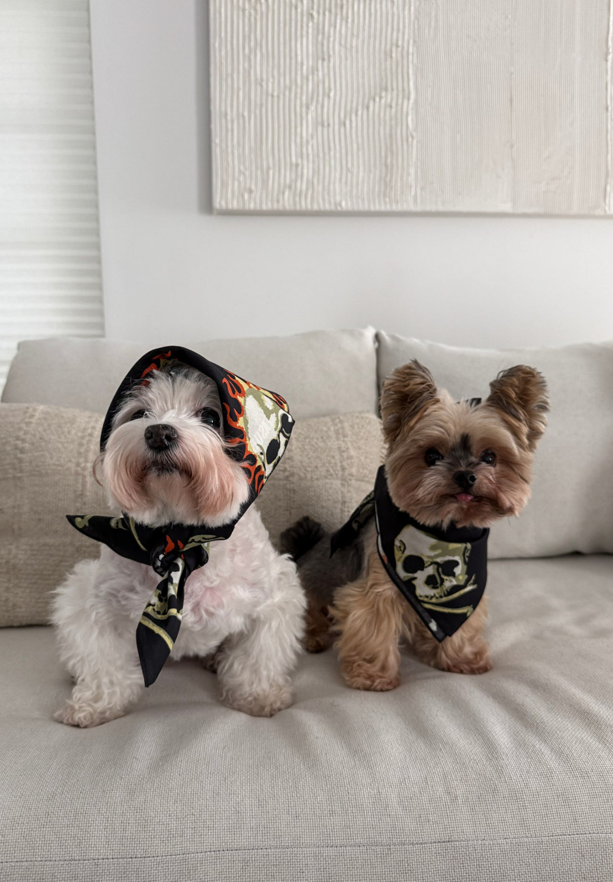 Pleasures Skull Bandana Black