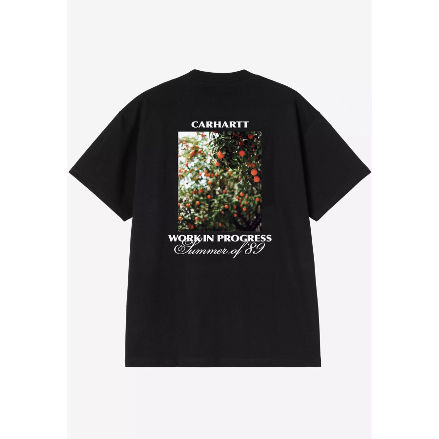 Carhartt WIP S/S Warm Views T-Shirt Black