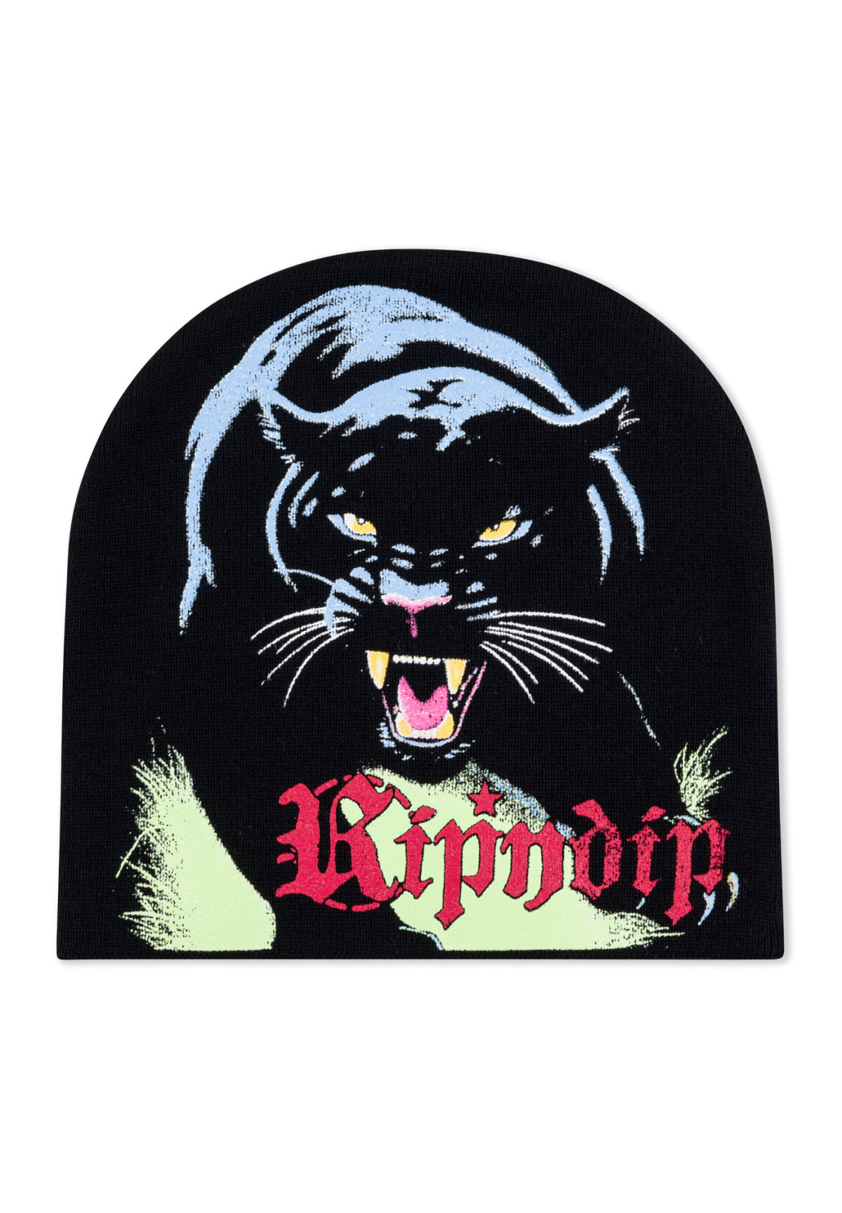 RipNDip Fein Beanie Black